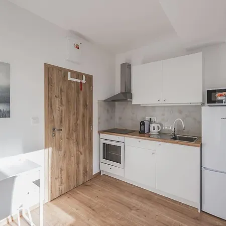 Flat Near Castle Stylish & Prime Location 5 Prag