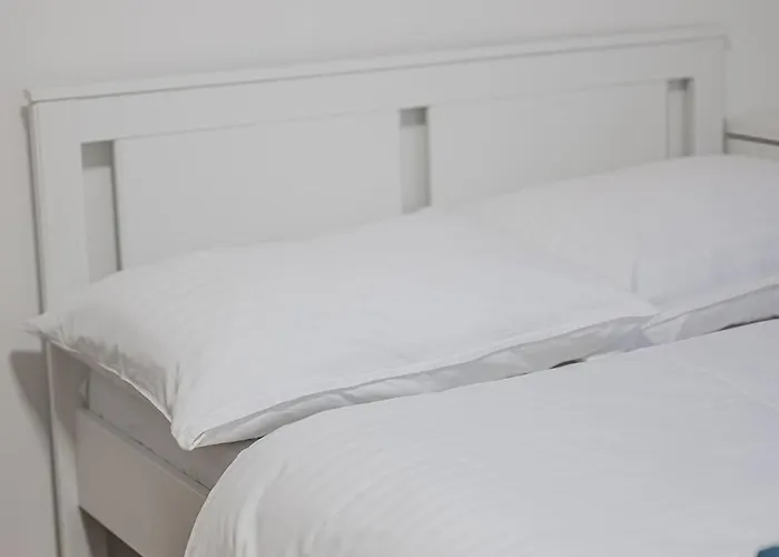 Flat Near Castle Stylish & Prime Location 5