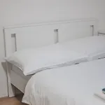 Flat Near Castle Stylish & Prime Location 5